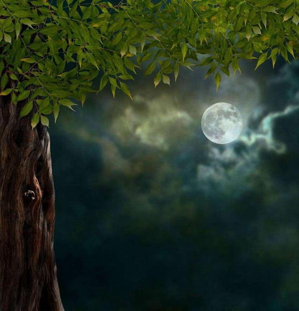 美：品唐诗，赏唐时明月