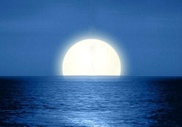 美：品唐诗，赏唐时明月