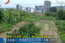 「聚焦“放管服”改革 曝光“怕慢假庸散”」吉安遂川：申请建房四年无结果 当事人称想不通视频封面