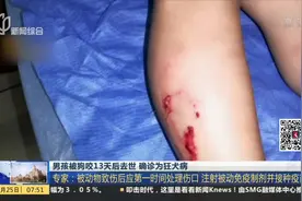 确诊为狂犬病！男孩被狗咬伤或导致中枢神经感染 多日后不幸离世视频封面