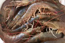 大虾最简单美味的家常做法，肉鲜味美，不腥气，比油焖水煮都好吃