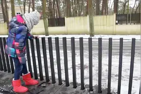 外国人发明了一款伸缩围栏，7000元一米，可隐藏在地下