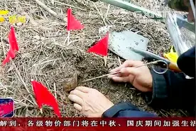 宁明：中越边境最后一片雷区已全部排除 村民可以放心上山耕种视频封面