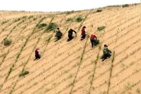 中国最“丢脸”的沙漠，60年被缩小600多万亩，不久后就要消失了视频封面