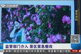南京江宁百亩“花海”变“草海”，游客怒了：还不如自家小区！视频封面