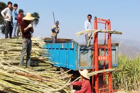 农业发明专利申请量全球第一！我国农业科技进步贡献率高到57.5%视频封面