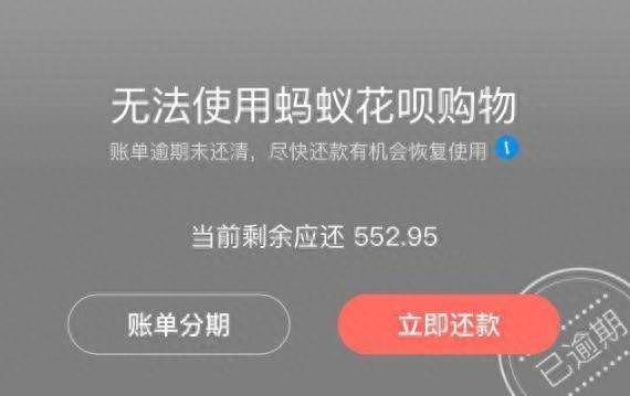 蚂蚁金融3000块逾期一年，原来花呗逾期有这么多影响,你还敢不还钱吗 配图02