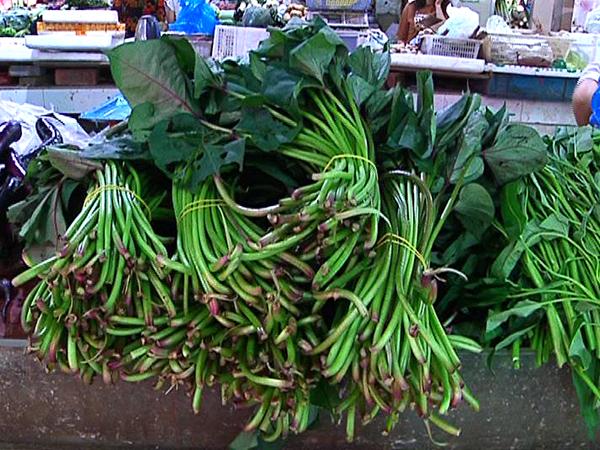 秋季“吃草”正当时 山芋藤成舌尖“新宠”