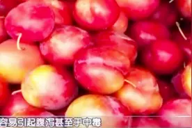 五斤李子下肚 男子“中毒”入院