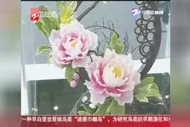 月嫂月薪一万三，有技能年薪轻松到十万视频封面
