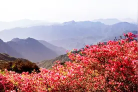 《大别山为何又唱映山红》谨以此片追忆李芳老师！视频封面