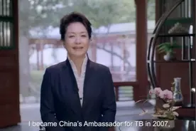 彭丽媛在联合国大会上发表英文视频讲话，呼吁大家关注这件事！图片