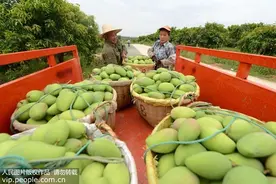 不同国家有不同过敏原？提前明确利于预防食物过敏图片