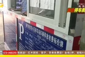 停车一晚收费1254元 这可惊呆了车主 但这天价停车费从何而来？视频封面
