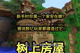 我的世界：新手时你第一个家安在哪？据说数亿玩家都建造过它！