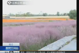 江苏宿迁三台山公园秋日美景让游客流连忘返！视频封面