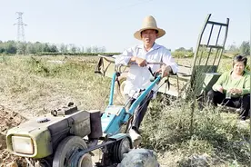 农村人都喜欢种点油菜，不仅是有经济价值，这一点是最为重要的！视频封面