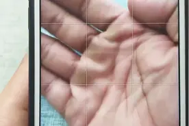 没想到网格线原来是这么用的，拍照必懂构图法则，变身摄影达人
