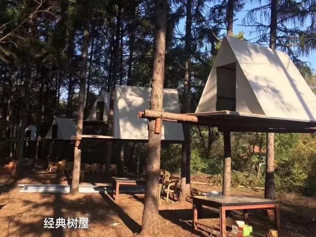 长春今日红柿价 长春今日红柿价