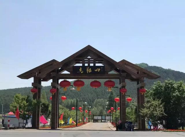 长春今日红柿价 长春今日红柿价