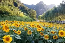 这10个西安周边冷门景点 让你带孩子逃离都市过个清净假期！图片