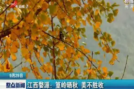 江西婺源：篁岭晒秋 美不胜收视频封面
