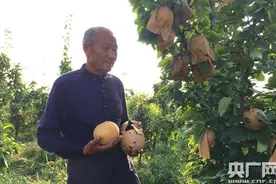 安徽小岗村的“小田到大田”：现代化农业生产画卷已然铺开图片