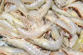 这三种虾千万不要买，尤其是第一种，快看看你家买过吗