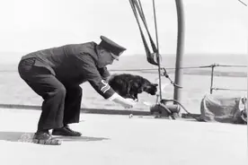 航母上的老鼠，各国是怎么解决的？美国果然财大气粗，来看看中国视频封面