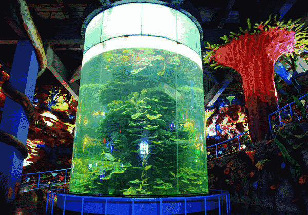 海洋世界竟建在福州永泰深山里!国庆长假不能错过!