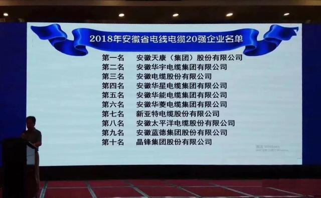 安徽天康电缆股份有限公司