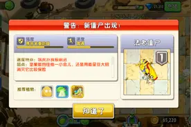 英文不好的来试试汉化版，玩起轻松又方便，植物大战僵尸