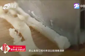 中华美食群英榜“本味领航”，董顺翔大师“鲜香芙蓉鳕鱼舫”视频封面