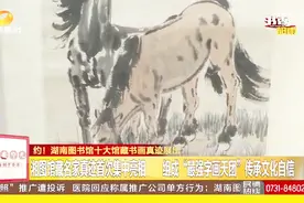 约！湖南图书馆十大馆藏书画真迹展出 更有齐白石早期巅峰之作视频封面