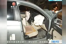 大货车撞倒路灯后，路过轿车被弹飞？两车车头面目全非视频封面