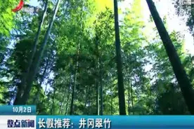 长假推荐：井冈翠竹视频封面
