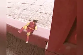 太乙真人对徒儿灵珠子被废除八百年功力，变成一个小矮子一事难过视频封面