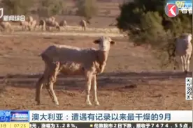 动植物都“渴死了”！澳洲迎来史上最干燥的9月！视频封面