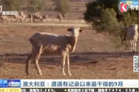 动植物都“渴死了”！澳洲迎来史上最干燥的9月！视频封面