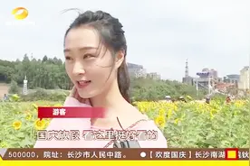 湖南省植物园：7万株向日葵迎国庆 植物园“花海”迷人！视频封面
