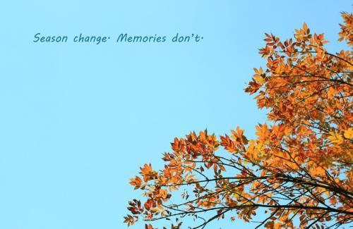 头皮屑恼人，小妙招来帮你