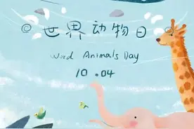 世界动物日｜万物有灵且美，地球上所有的动物都需要我们来守护图片