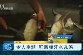 非尝不可的水丸汤 吃起来有嚼劲 一口咬下去鲜嫩弹牙！视频封面