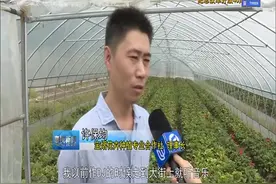 实施乡村振兴战略！1700名新型职业农民 成为农业转型发展主力军视频封面