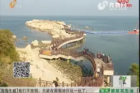 全国各地游客去烟台“网红”养马岛游玩 车辆拥挤排成排视频封面