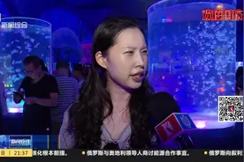 神秘海洋世界揭开面纱 海昌海洋公园迎来首批定向邀约游客视频封面
