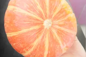 圆南瓜家常菜最营养好吃的做法，香糯美味，老少皆宜，制作超简单