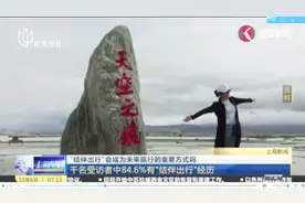 拼车出游出风险谁担责？“结伴出行”是否会成为未来旅行重要方式