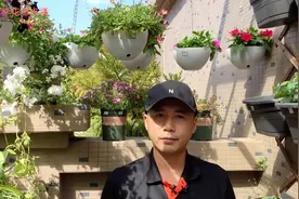 阿迪达斯的标志就是这种花，三叶草，它真正的名字叫做酢浆草