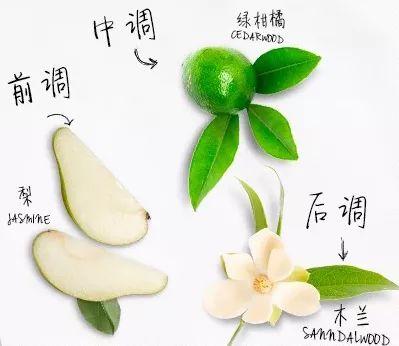 维e乳对买粥角化有作用吗
